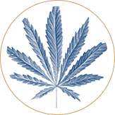 drug crimes icon