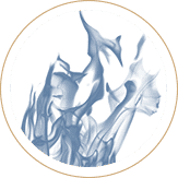 property damage icon