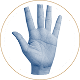 sex crimes icon