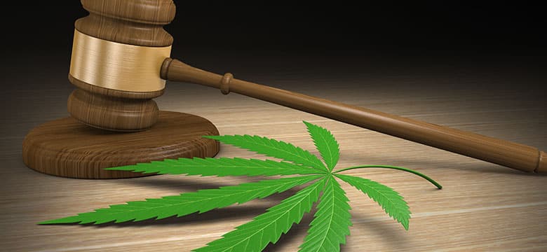 gavel and marijuana leaf